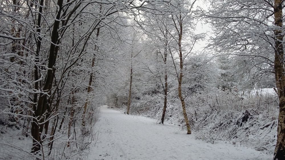 Padiham Walking