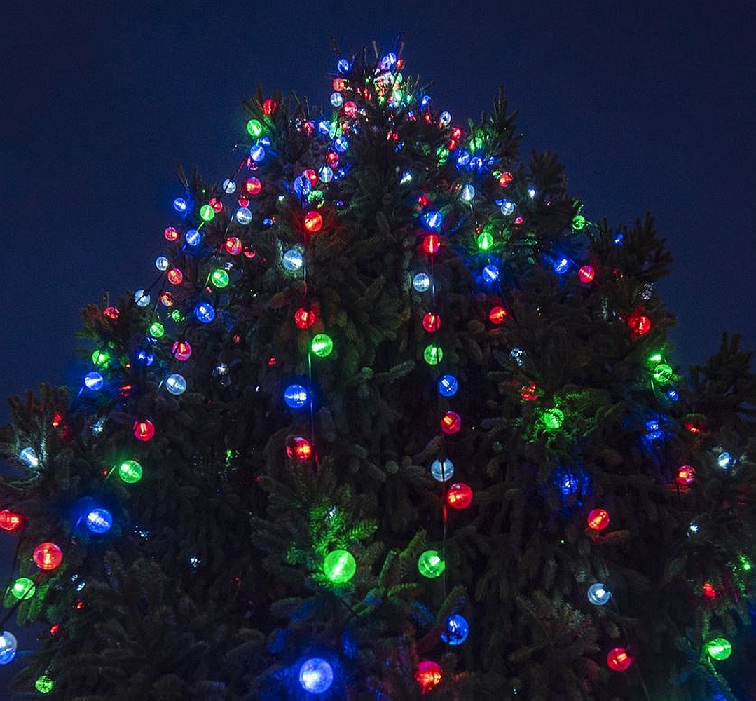 Burnley's Christmas Tree