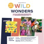 Wild Wonders: What The Ladybird Heard