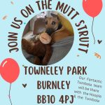 Lancashire East RSPCA  Mutt Strutt