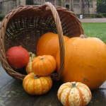 Halloween Trail
