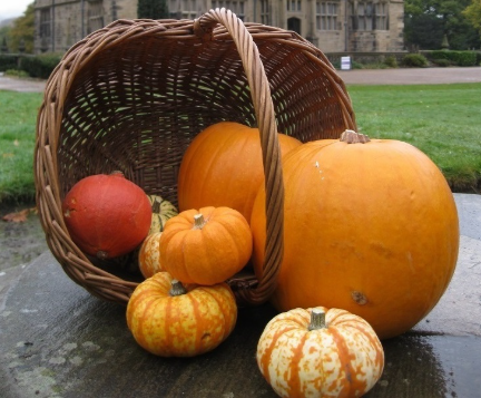Halloween Trail