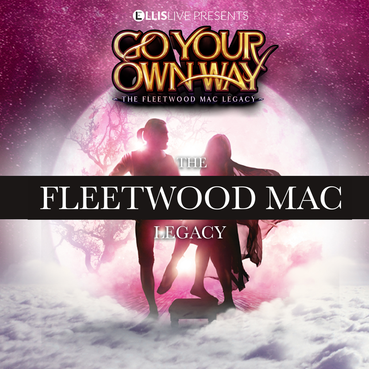 Go Your Own Way - The Fleetwood Mac Legacy
