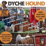 Dyche Hound