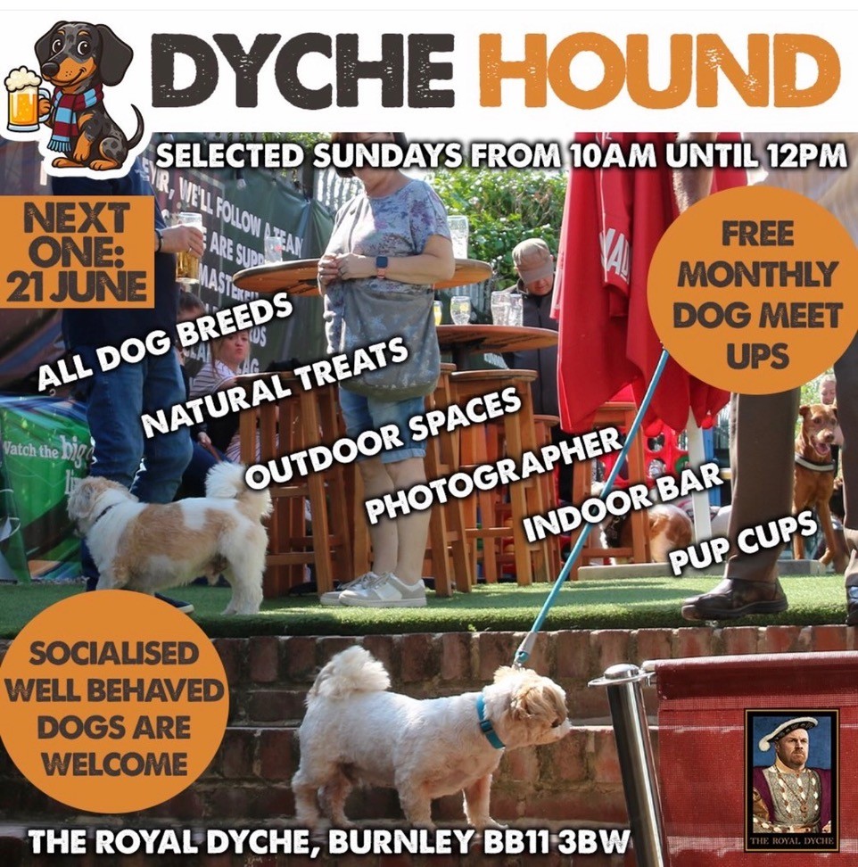 Dyche Hound