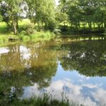 Explore nature at Gawthorpe Hall