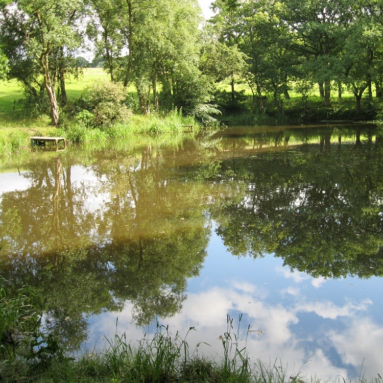 Explore nature at Gawthorpe Hall