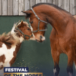Festival of the Horse 2026