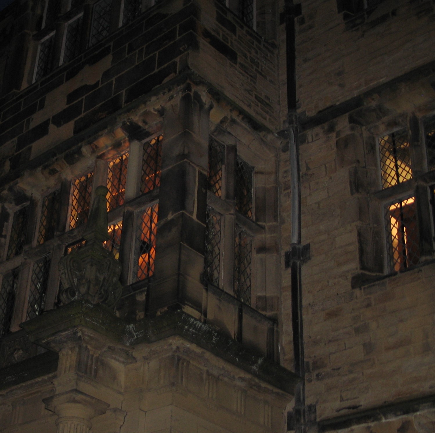 Bats About Gawthorpe