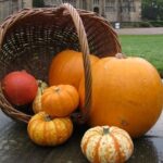 Hallowe'en Trail at Gawthorpe Hall