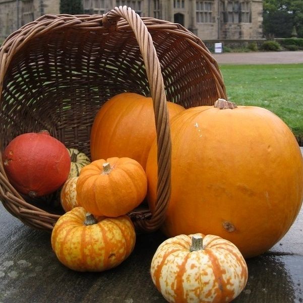 Hallowe'en Trail at Gawthorpe Hall